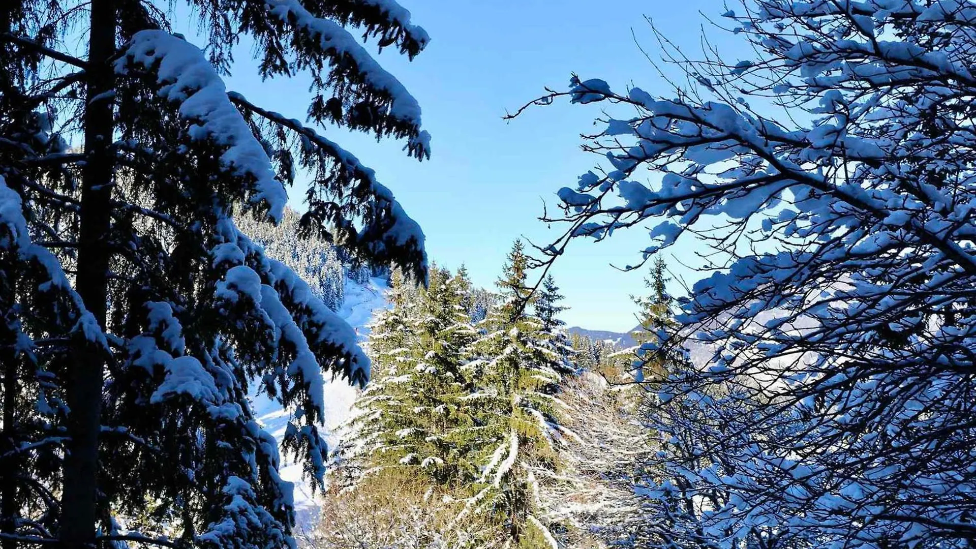 Courchevel 1650 : Appart Neuf 2P+Cab, Ideal 4 Pers Proche Centre Avec Parking - Fr-1-575-188 Fransa